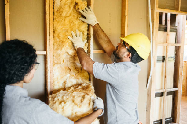 Types of Insulation We Offer in Bluefield, VA